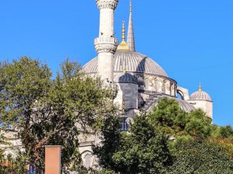 324ED3857C44EA27393E378B49500A6F