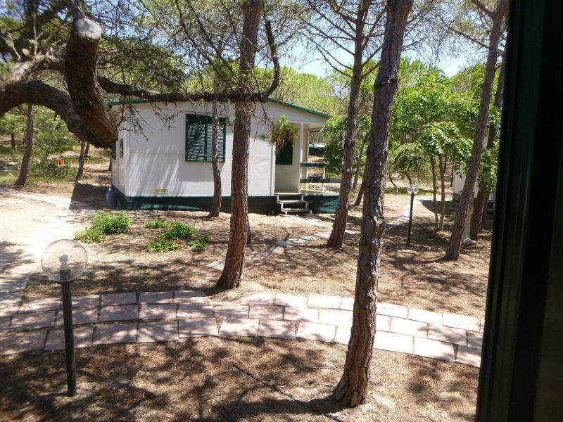 9AABC3C5B3E77028AE0E95E22986E0F5