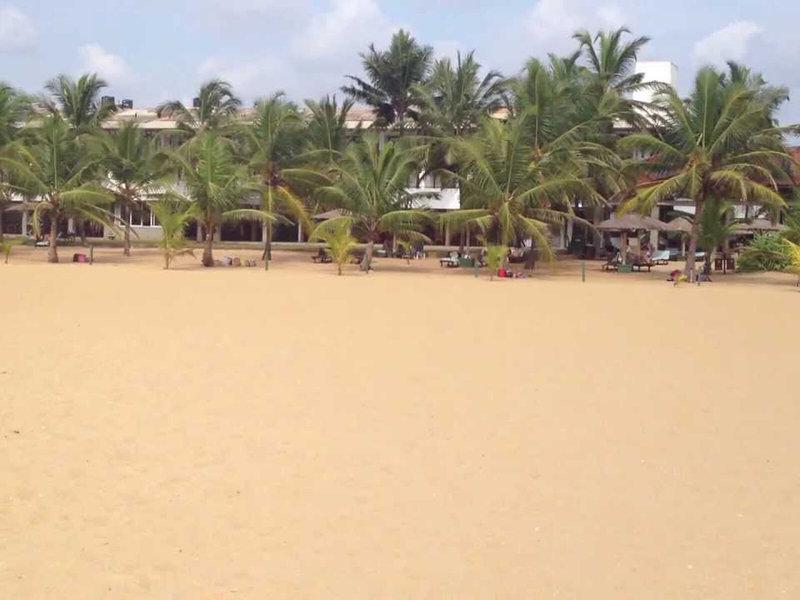 EB1E519ED09563FC5968BEA164573CD0