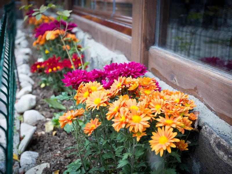 62614787ED4D0EE9507FEA018CC09476