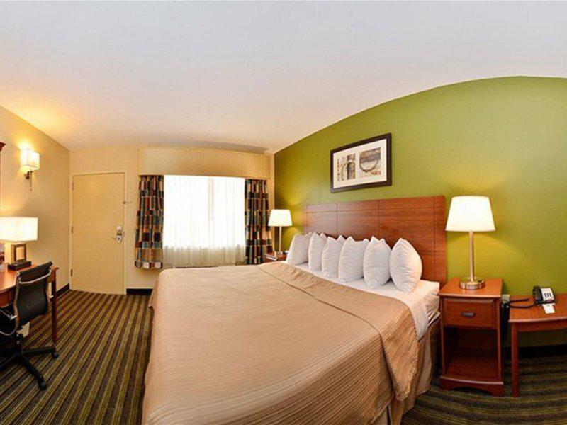 5F56594491F82733155BF076C2378525