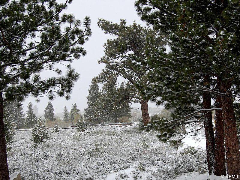 3D5FEDB2FD09EAFC684F8DCADADAFA08