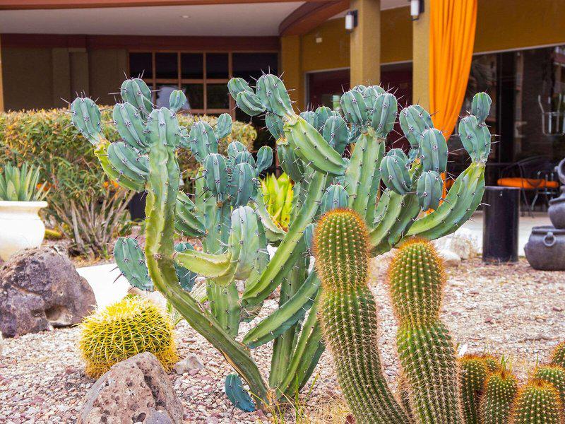 E6E6F534A3E67E8AE89CE932286AF0EB