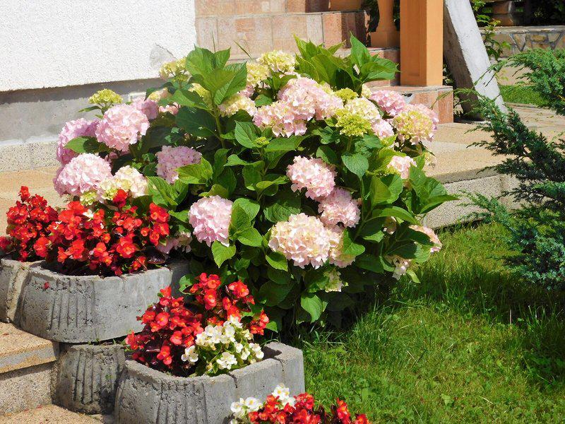 021B63939022179DD09894A6A7E8D7D6