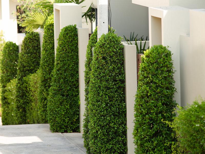 3538FAACEE7B3686A3A35225F1635CA9