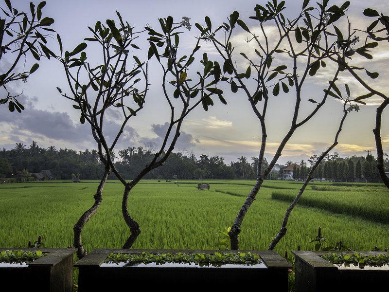 89825567E1FDC3C0B5679A6585E34AC3