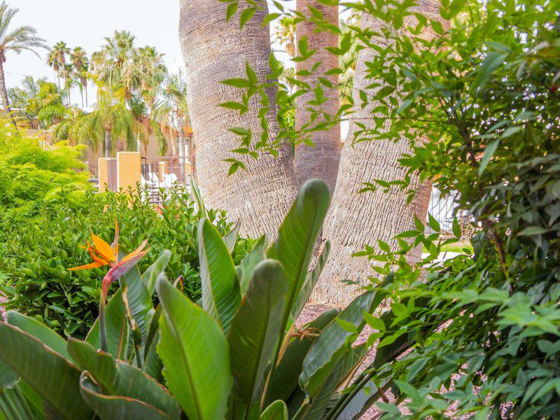 78CC035C4CC993377E185F4DF7C4318B