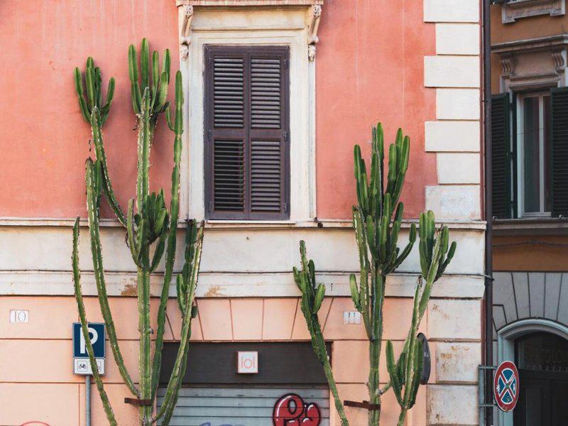 8430EA3CA394E2246942B6B49F2A9EC7