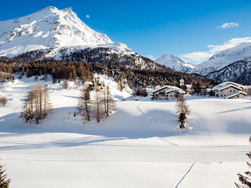 AAFDACE84D8E5F693927A708B21662DF