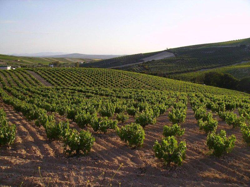 797574D94D98176FC517AFECAC3D8B4E