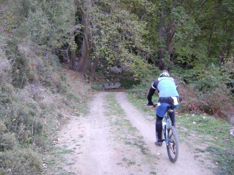 D9499AEB4063DF9BB72AF81842FF985F