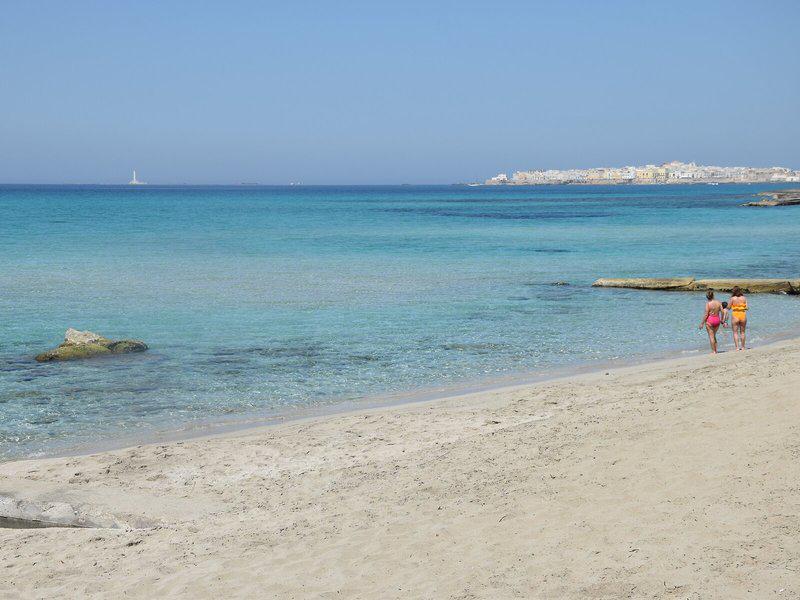 50C066EAC615C5CE0A23A478C1217822