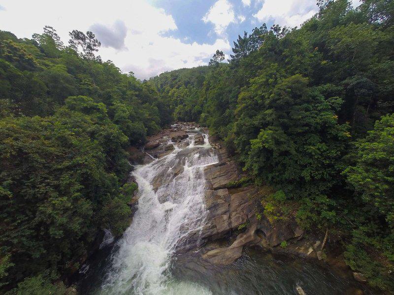 EE06E976F9F5259B1AD48B77AEEDA994