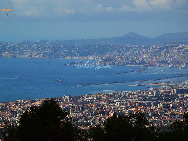 52D4C6AF5165CB006CA0E402B1145537