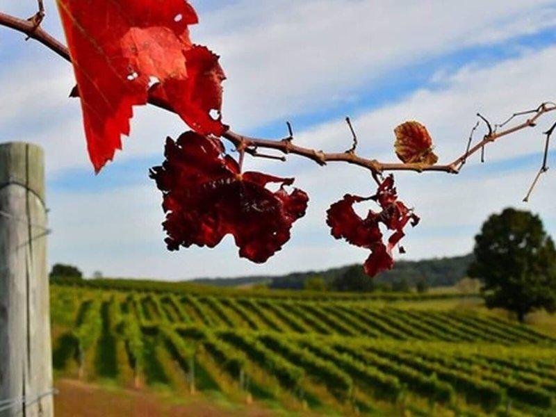 9293C531E1AB836DDB4C15C386F39CDB