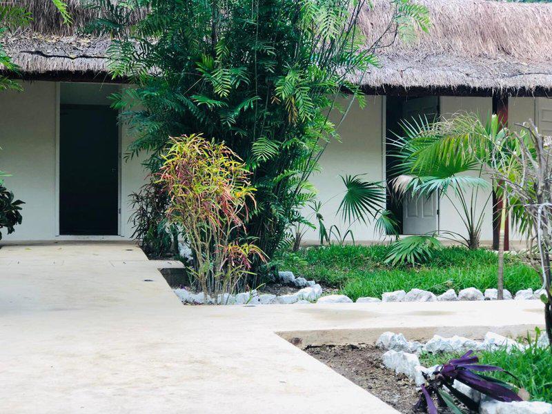 53A45B69EE76EBE2B193E1BA3196F20B