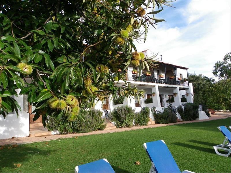 28FB08E81412C38A75839E8ADF6FBF3D