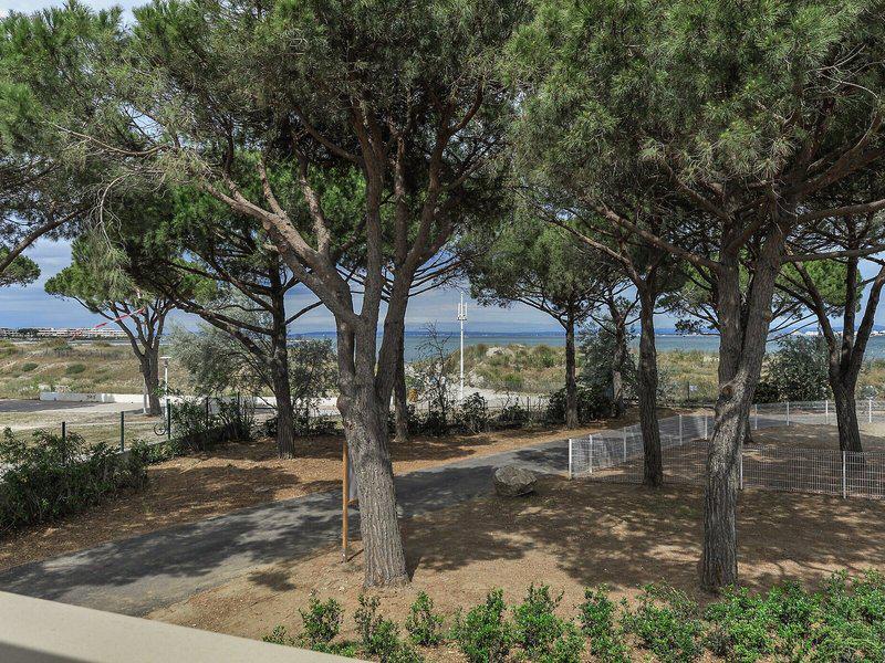 24EC09B4921DD5DBF764A4A3F1B26460