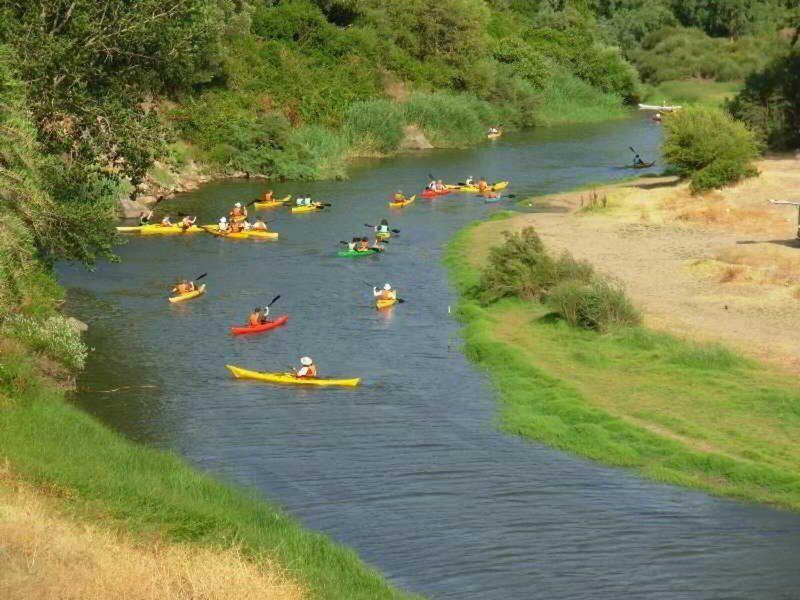 C1BE755750CAB3F275B5A34C40231B92