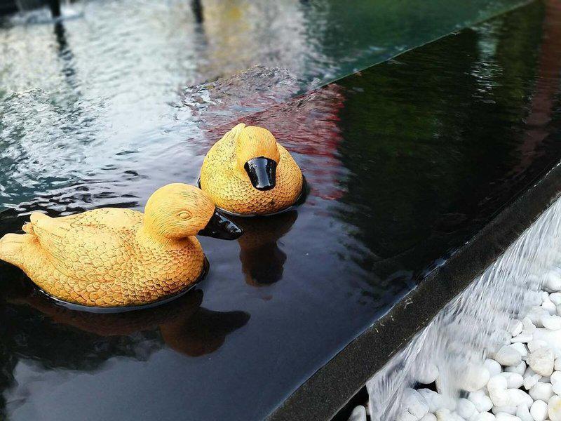 5A159A026B624ACAE705E78AE6AA4BE2