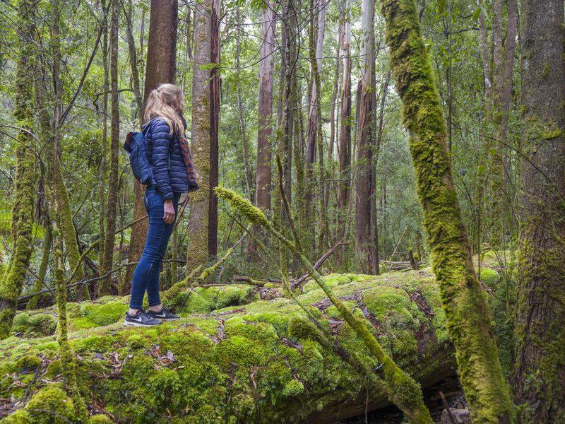 CF36A36A43D48F9FACD1DA636DCC71DD