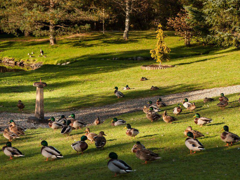 0BC55CCF52EA91FEF8A8717296F95E7D