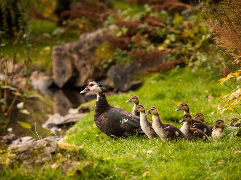 101EB01551192FBC4379B1CFF3CC6B9A