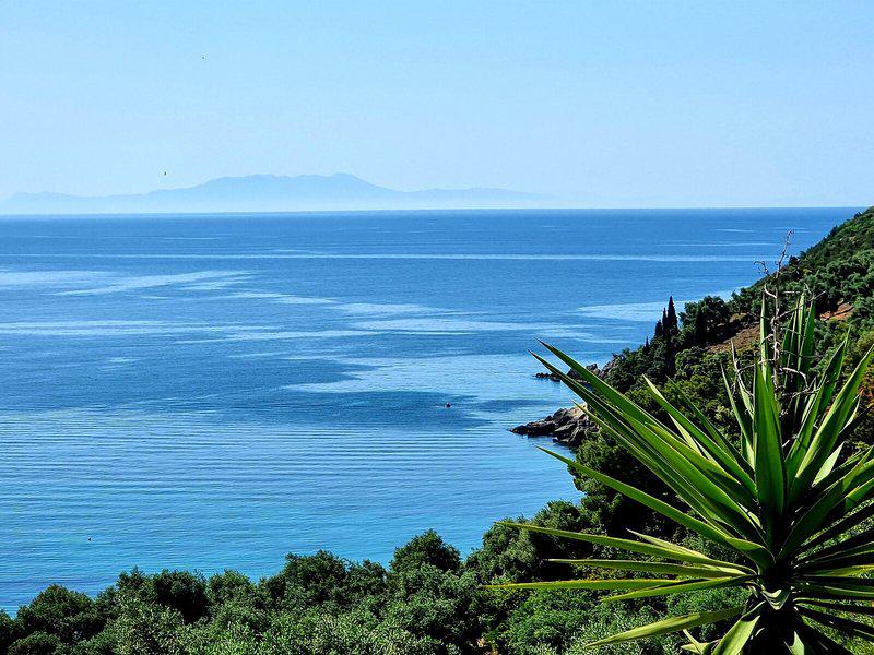 FA652E4AC144E6FC5F9F5738D99644C3