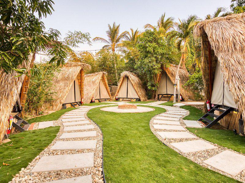 367DA3016043521B921B07772D89577F