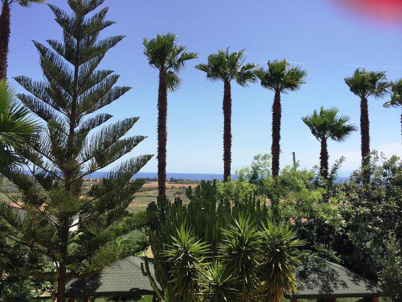 1B318B586B304E4330A45A9328D24128