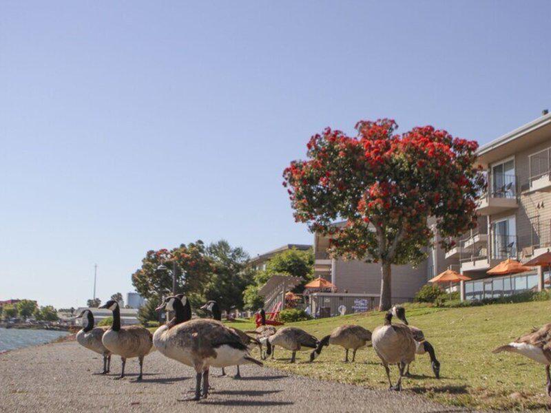 0F474F6E247EA69DE4D3CA31D48E2947