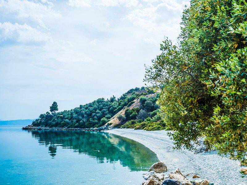 EAF2E8B3BFF7A232332C2F8CFC7D059D