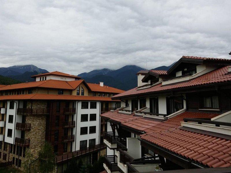 336CB412C00CF8BC579918038CF6EF65