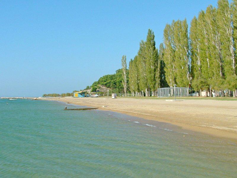 4EB86A9F58D5B2A55B06E9054E1CE5C0