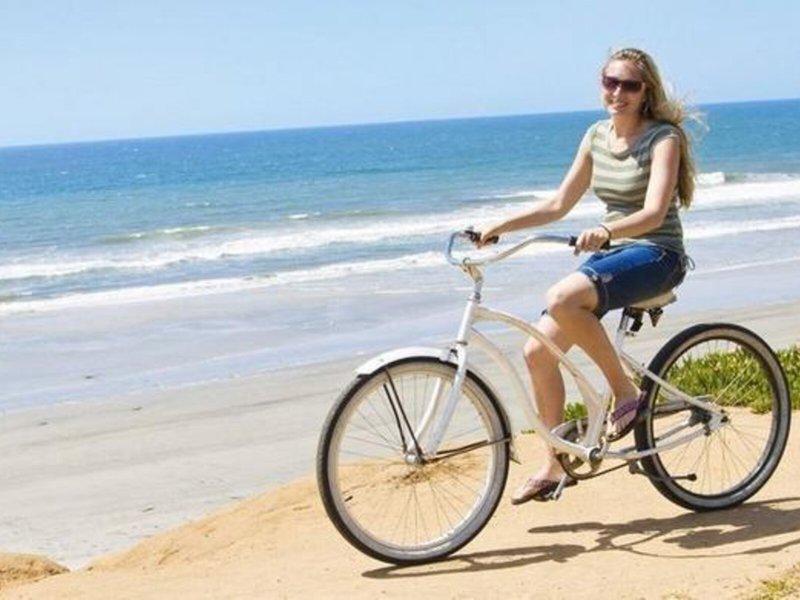 E210B2C1094EEDDCAD63D9E88A2C6428