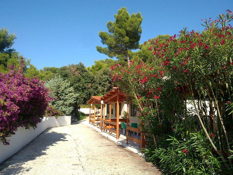 A94679B6DAC06A2136582FBEB66B7602