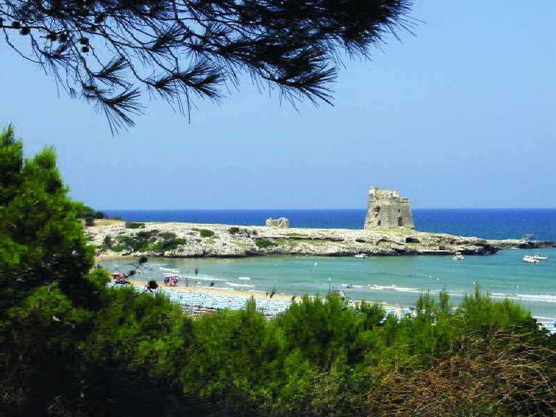 96CDBC0BD677D4F468846E7207FAF235