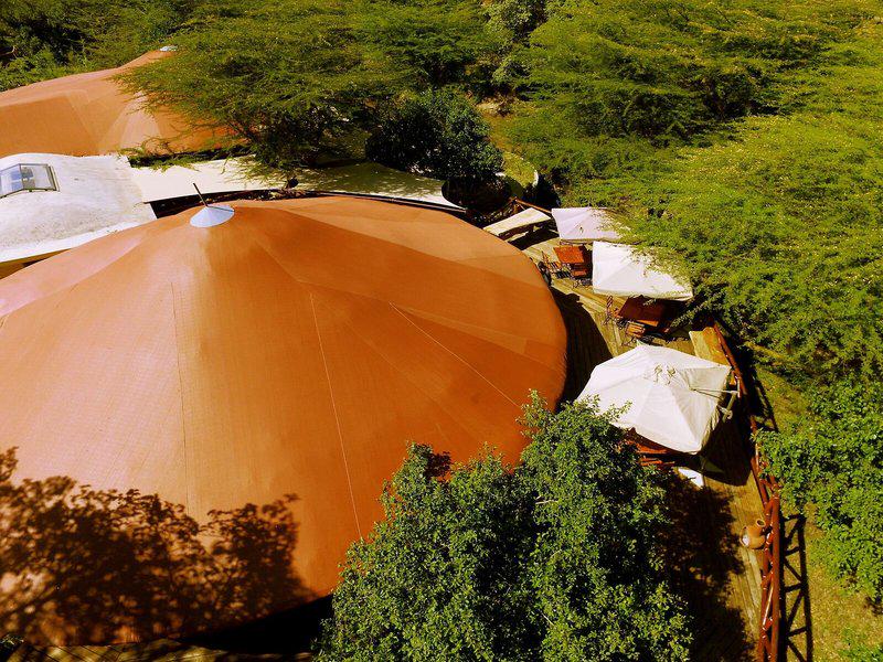 D26F74818616A45728DF4B4C1F8C2CF2