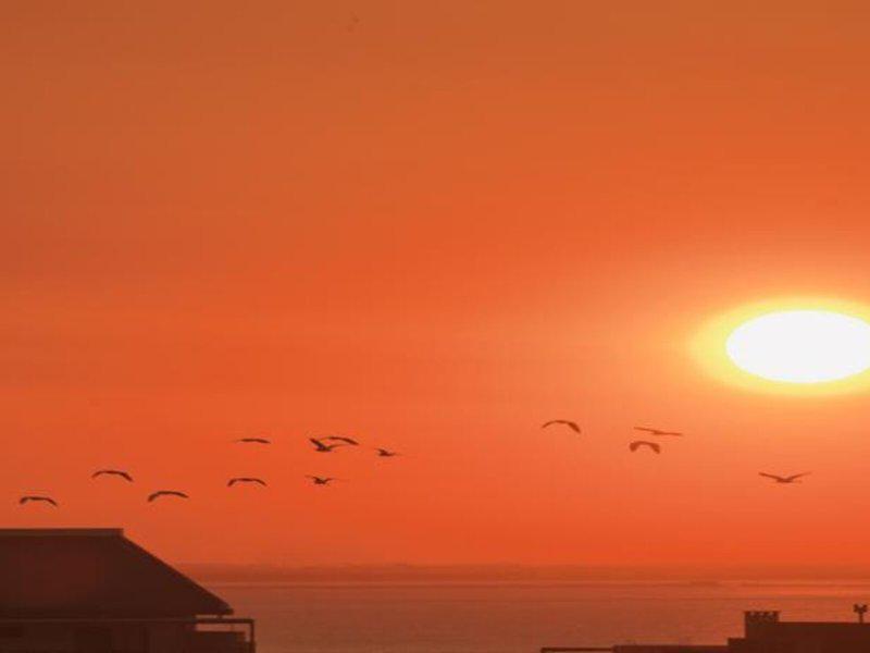 5D158BD3F11F6ADE1AFA3E7463493799