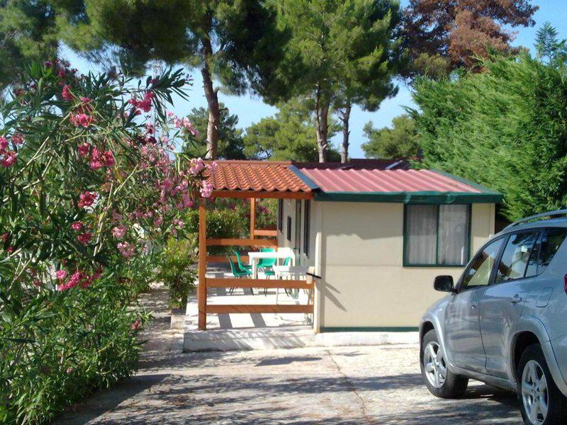 DFE74E647D575D094BC3B9585AC9C469