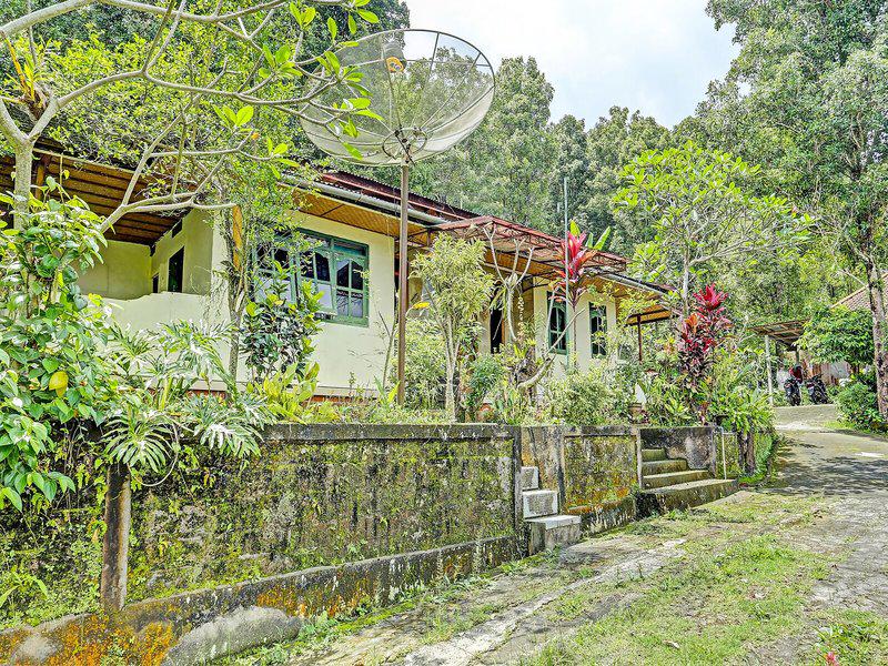 E83A42C39B4A87BBA3EDEDC5DC244B6B