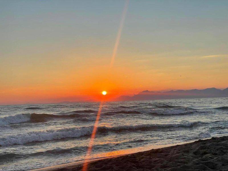 82F9296F089E801A802E4F5A0BDCA7C9