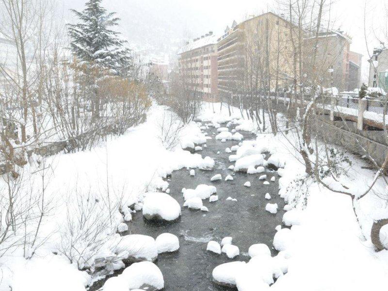 A8D62CD16E073B1403D436F6FA66D363