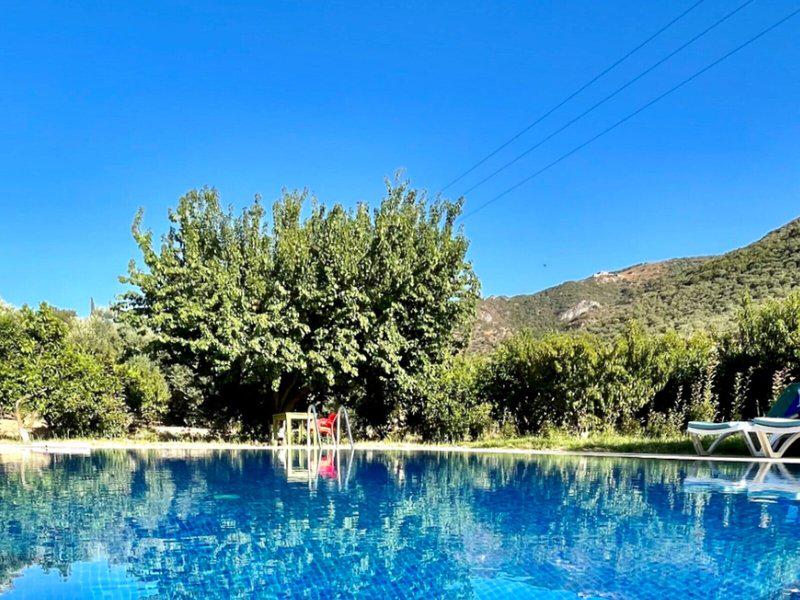 540D14F2C03B70429F46A5FD5CFED47C