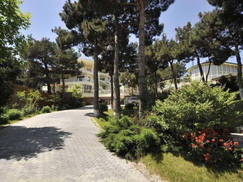 0688EE0BE72D172A05349999BD5B510F