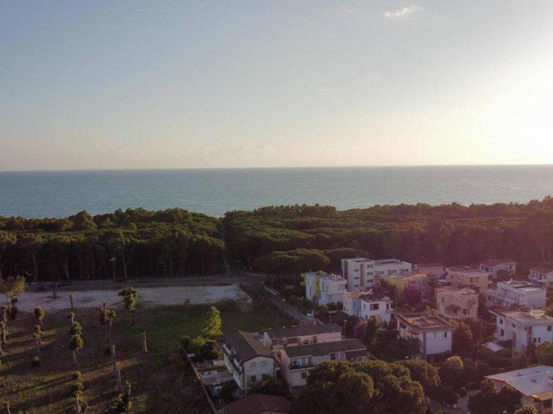 9BD31AA3C70EE80E556FEB7F875174A1