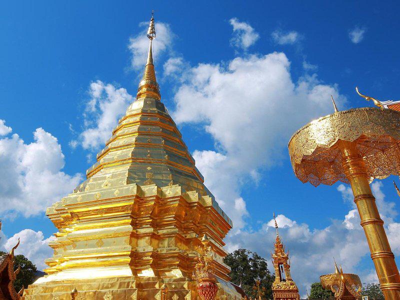 223B29EDCBC2B94875AF4EB42EB019F5