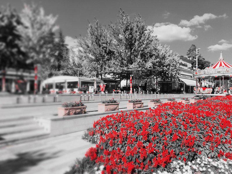 2118DBAF4E4DDE5C05214F7617E42496