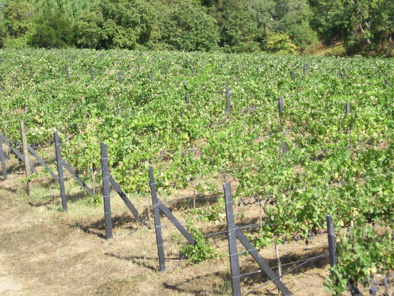 907656C1EBC837391C14DFB04FE47933