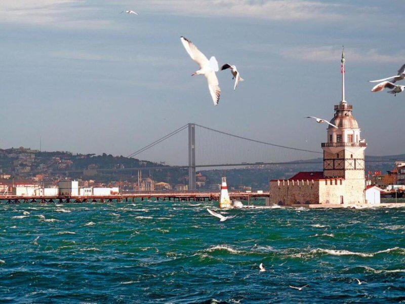 A85B9A5029F176C43C2798C691A2C157